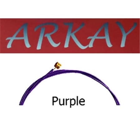 Arkay Arkay Discount RK.E9PP Standard Electric 9 Gauge Guitar Strings; Purple RK.E9PP